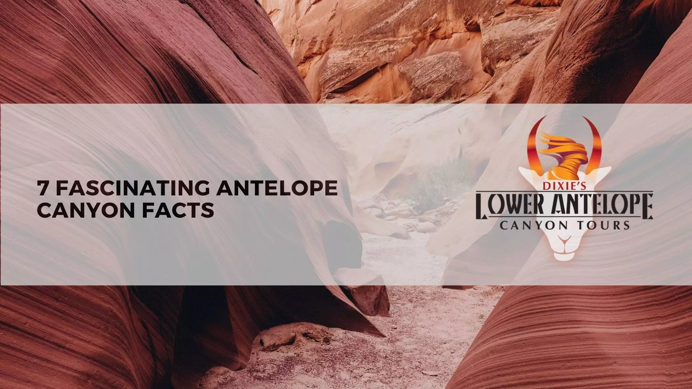 7 Fascinating Antelope Canyon Facts