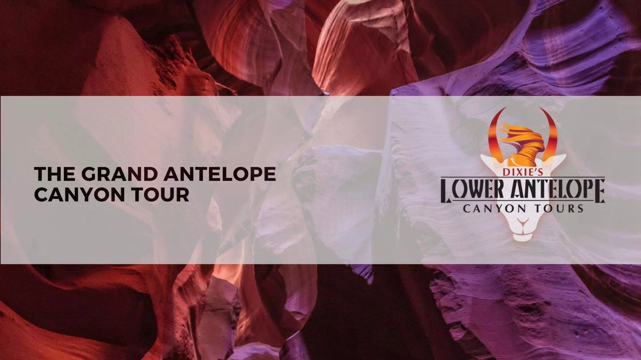 The Grand Antelope Canyon Tour